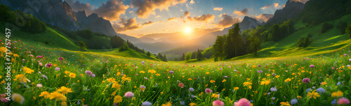Natural realistic Flowers meadow with sun