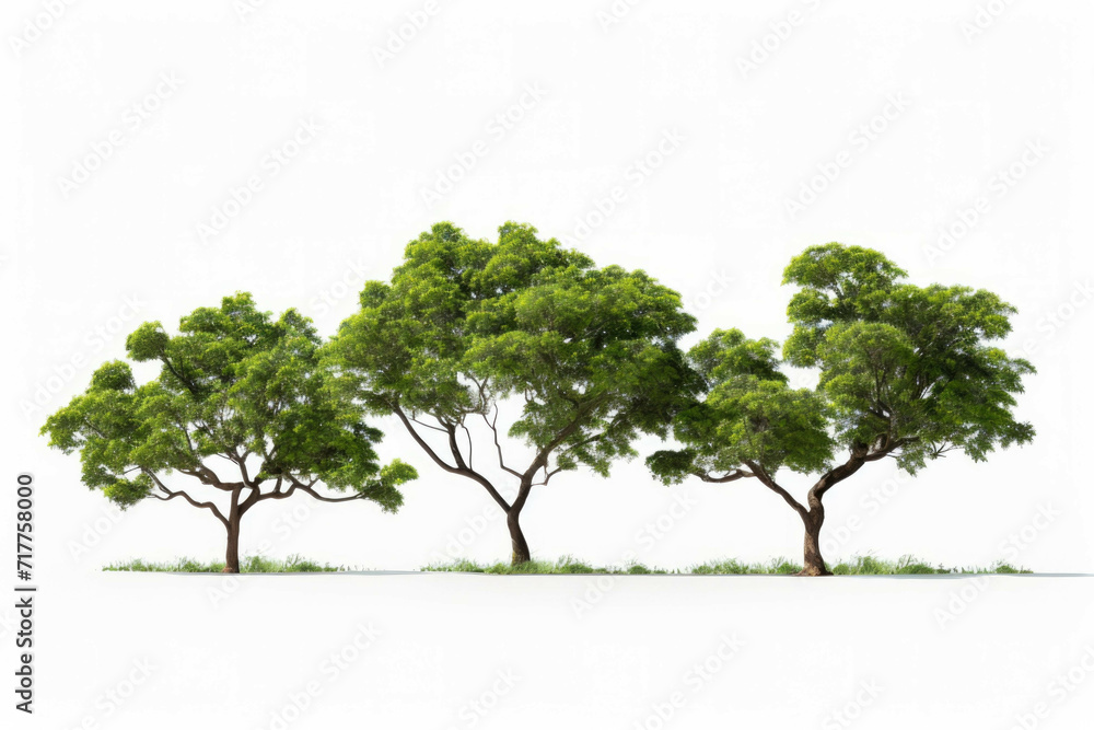 Obraz premium 3d illustration of four tree models with multiple branches