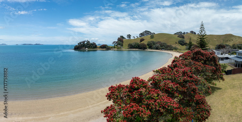 Flowering pohutukawa trees over looking a tropical beach.Otautu bay, Coromandel Peninsula, New Zealand. photo