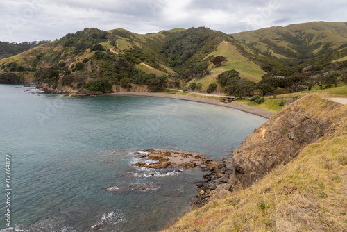Ocean foreshore in Port Jackson, Coromandel Peninsula, New Zealand.