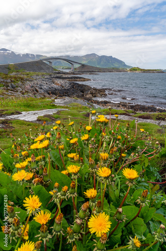 The Atlantic Ocean Road or the Atlantic Road,  an 8.3-kilometer long section of County Road 64 that runs through an archipelago in Hustadvika and Averøy  photo