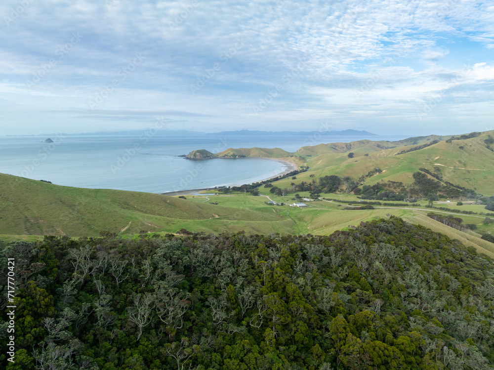 Native bush and headlands. Port Jackson, Coromandel Peninsula, New Zealand.