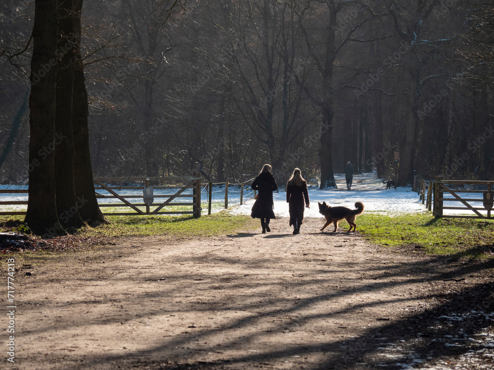 2 women and a dog walking in the park. Spring in foreground, winter in background 2 women and a dog walking in the park. Spring in foreground, winter in background