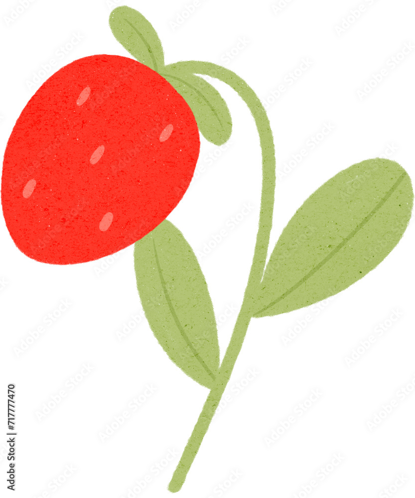 Strawberry red cute for Valentine's Day