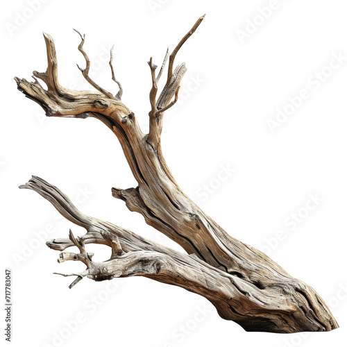 Driftwood Branches Isolated on Transparent or White Background, PNG