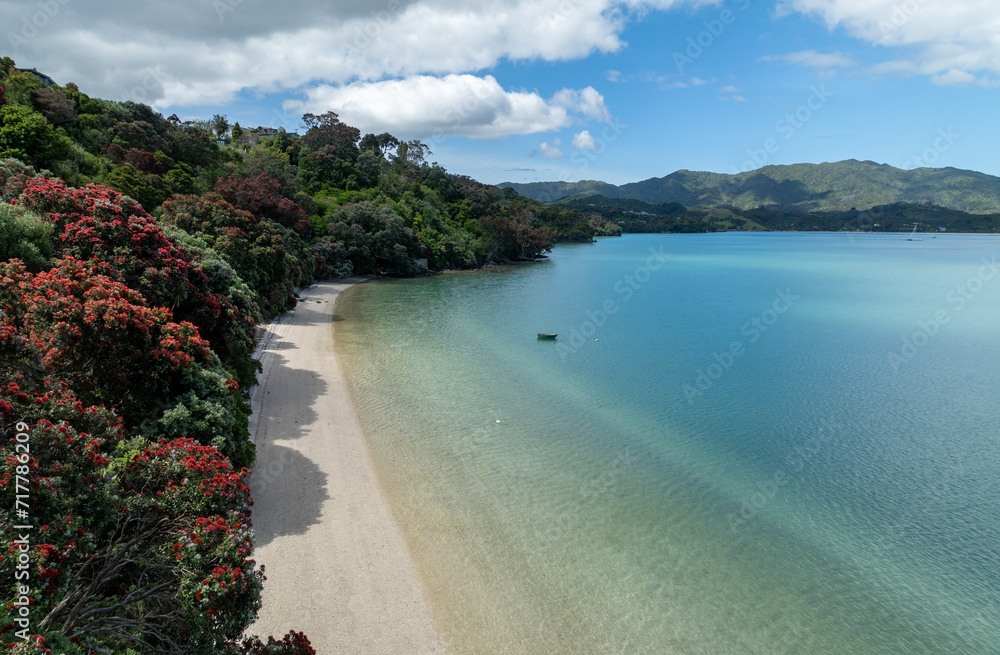Aerial: Calm beach and coastline with pohutukawa trees. Wyuna Bay, Coromandel, Coromandel Peninsula, New Zealand.