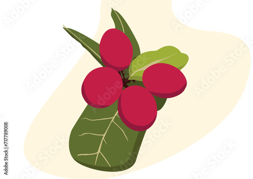 miracle fruit