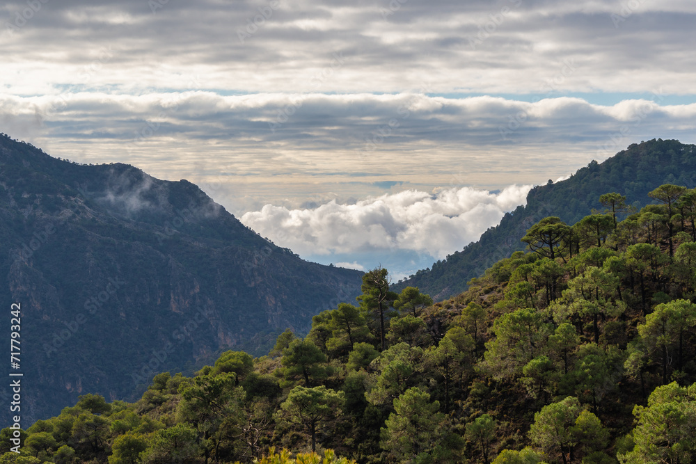 Cloud-Filled Valleys Between Sierra Nevada Mountain Ridges
