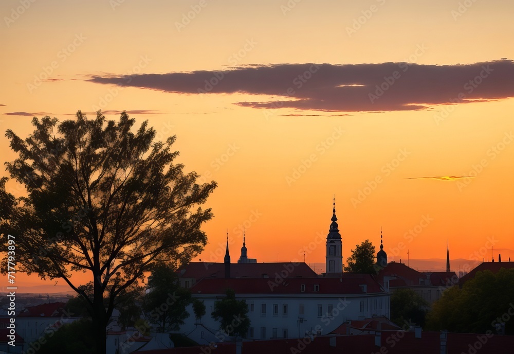 Fototapeta premium Picture of tree and tv antenna silhouettes