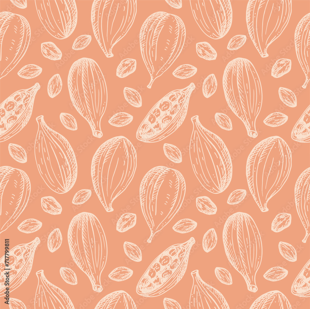 Cardamom aromatic camphor spice sketch seamless pattern hand drawn reapiting vector background fresh and dried fruit pods cardamom plant. Eastern traditional medicine, food, harvest seeds cardamum 