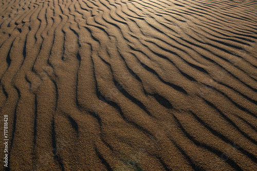 Fototapeta Naklejka Na Ścianę i Meble -  Beautiful sand waves or sand waves caused by the wind. Wind action constantly changes the height, shape, size and angle of the dunes. Ripple marks on coastal dunes caused by seasonal wind in autumn.