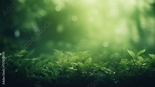 Blurred dark green nature background Wallpaper with a delicate and soft texture. © venusvi