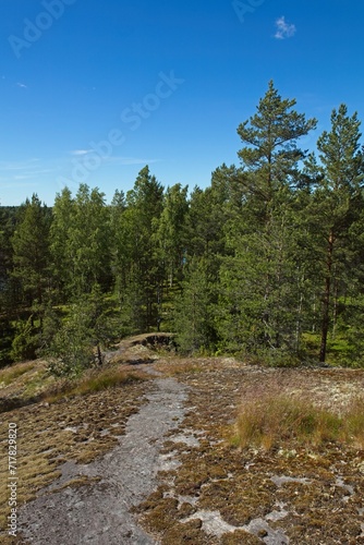 Landscape view of nature trail at summer time, Lövö, Finland.