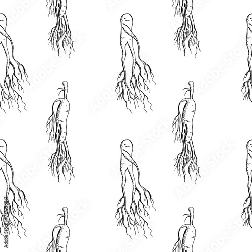 Ginseng root medicinal plant seamless pattern hand drawn sketch repeating background with engraved roots vector illustration.Botanical East herb Ingredient design for food, tea alternative, medicine