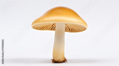 One whole edible mushroom on white background. Neural network AI generated art