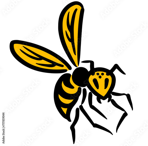 こちらを見るスズメバチ。アイソメトリック図。 photo