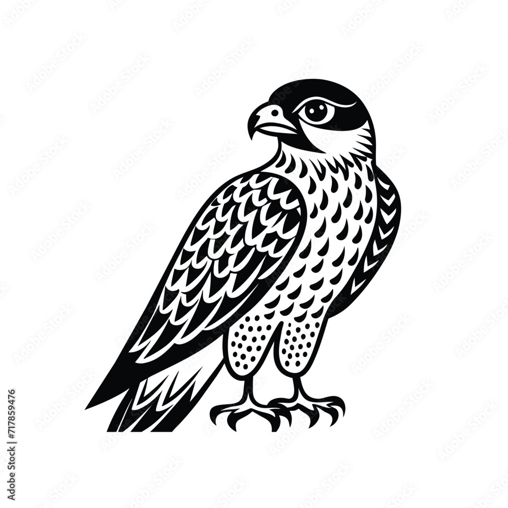 Fototapeta premium Hawk graphic vector EPS