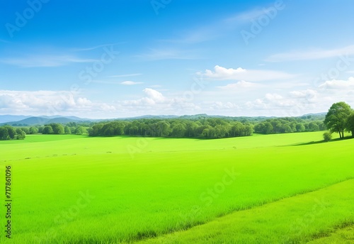 Country landscape with fields green grass trees