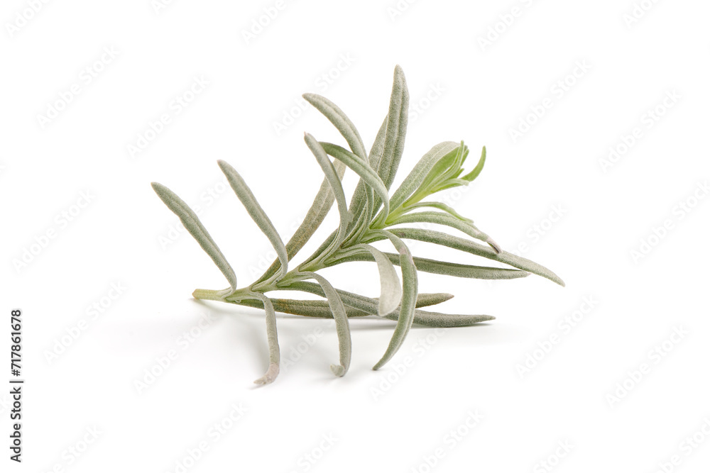 Lavender twig spice, isolated on white background.