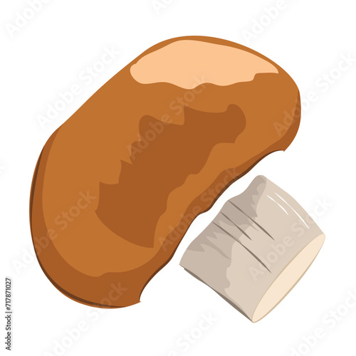 champignons, edible mushrooms and healthy food products