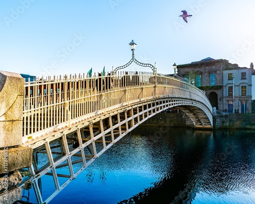 A side view of the historic Ha'penny Bridge over the Liffey River with a seagull in the air.