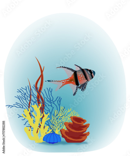 Tropical fish with underwater seaweed, shells and corals. Vector illustration.	