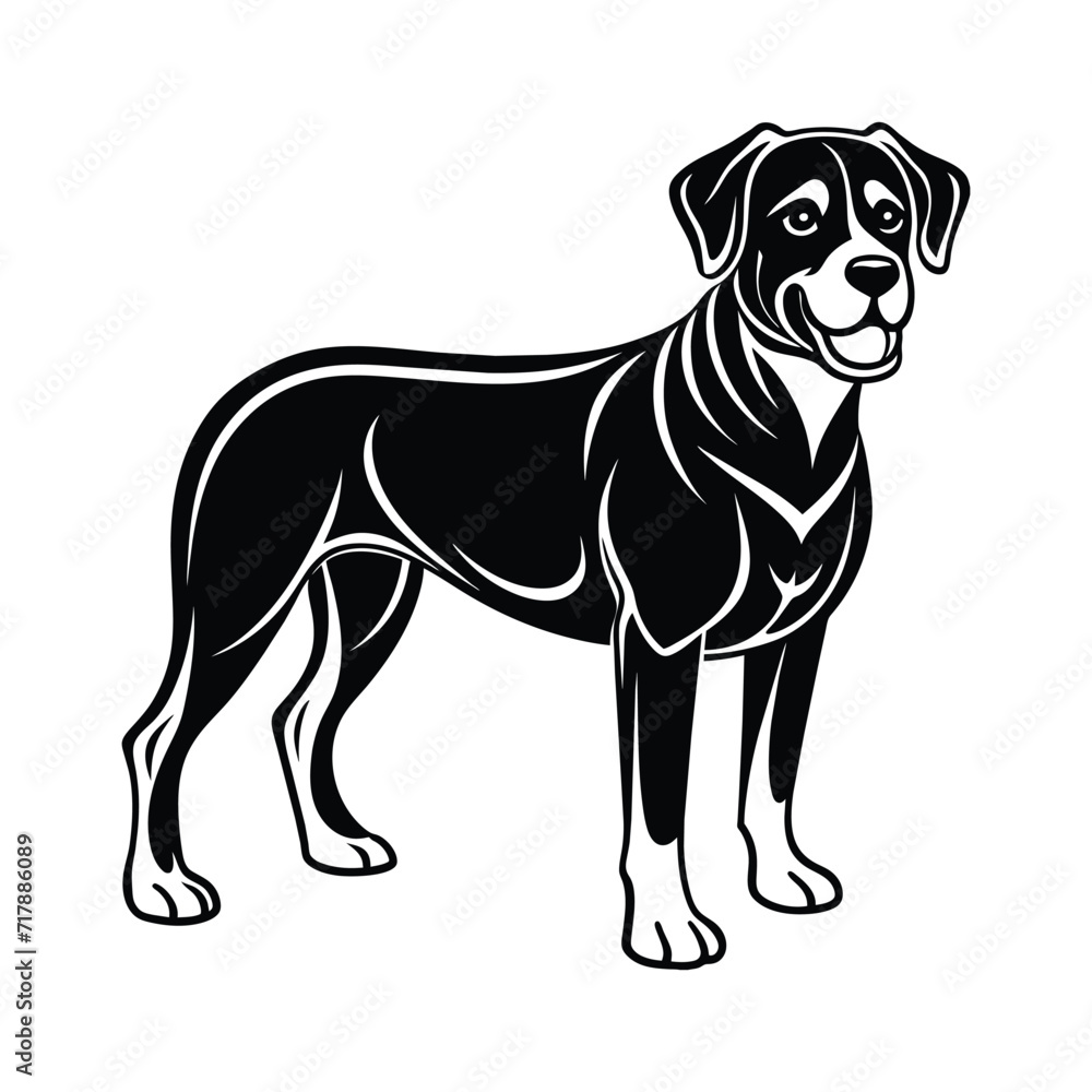 Fototapeta premium Rottweiler graphic vector EPS