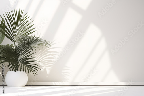 Abstract white studio background for product presentation. Empty room with shadows of window and flowers and palm leaves . 3d room with copy space. Summer concert. Blurred backdrop. © Cato_Ri