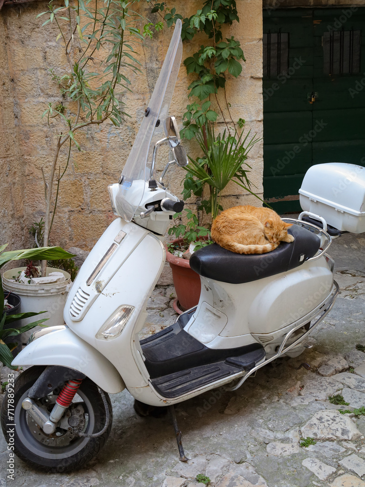 Uroczy rudy kot śpiący na siedzeniu skutera zaparkowanego na ulicy włoskiego miasta. A cute ginger cat sleeping on the seat of a scooter parked on the street of an Italian city.