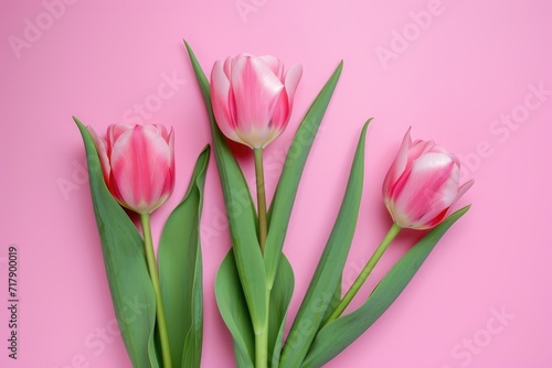 Valentine s day A row of fresh pink tulips gracefully aligned along the bottom edge of a soft pastel pink background  offering a delicate and clean design with space for text above. Ai generate