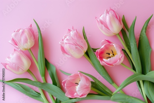 Valentine's day A row of fresh pink tulips gracefully aligned along the bottom edge of a soft pastel pink background, offering a delicate and clean design with space for text above. Ai generate