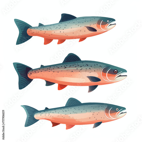 Salmon Fish set illustration vector