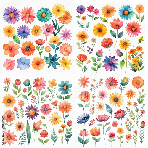 Assorted collection of colorful flower stickers in watercolor style for flower shop design background