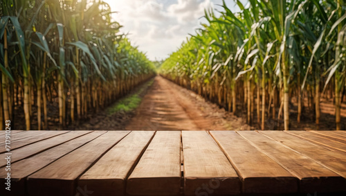 Wooden table as product placement background in front of sugarcane field photo