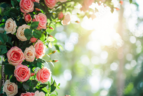 Roses adorn a square wedding arch against a blurred backdrop, free copy space