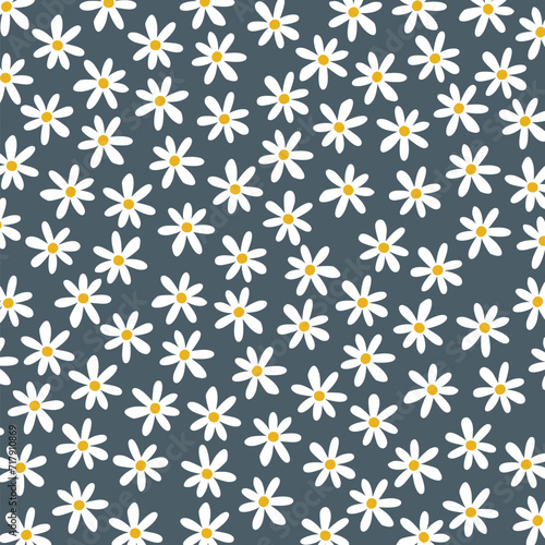 White Daisies Background Vector