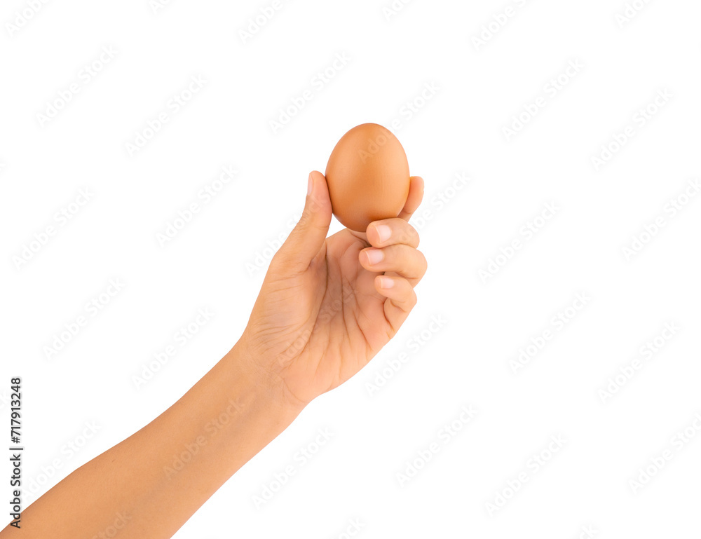 Hand holding brown chicken egg isolated on white background