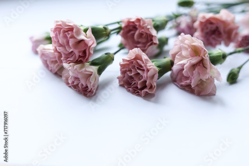 Bouquet of pink carnation on a white background. Place for text.