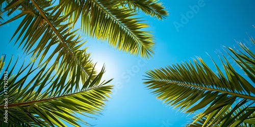 Lush palm leaves against a sunny blue sky. tropical environment feel. travel and vacation conceptual image. nature's beauty captured. AI