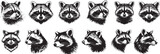set of racoon profile black and white vector graphics