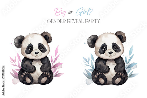 vector baby panda in watercolour style. Boy or girl gender reveal party poster. Baby shower decoration 