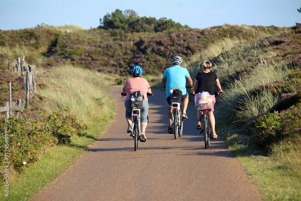 Fototapeta premium Fahrradweg in den Dünen auf Sylt