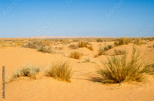 Fototapeta Naklejka Na Ścianę i Meble -  Grand Erg oriental, désert du Sahara, Tunisie