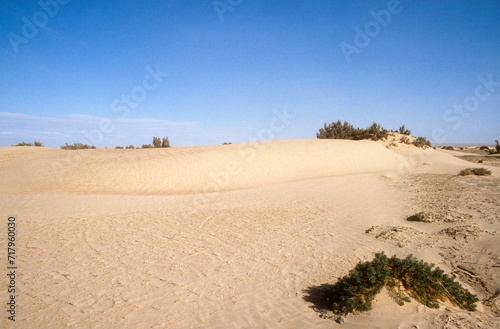 Grand Erg oriental, désert du Sahara, Tunisie