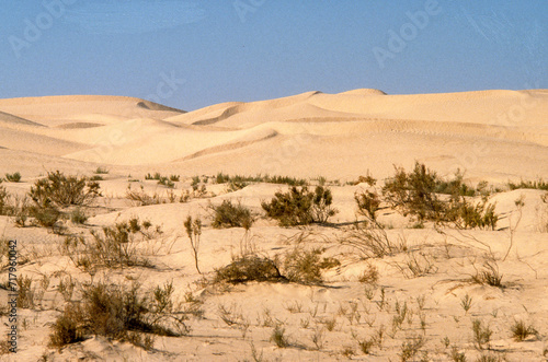 Grand Erg oriental, désert du Sahara, Tunisie