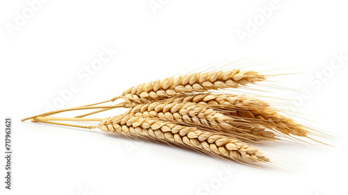 Isolated realistic wheat against a stark white background