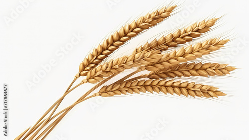 Isolated realistic wheat against a stark white background