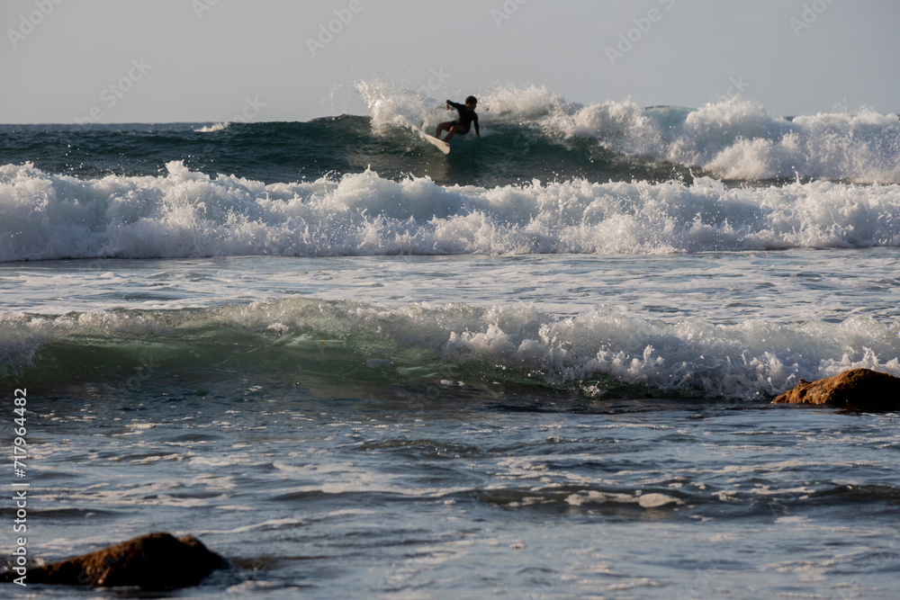 Fototapeta premium 2023-canarie-2201