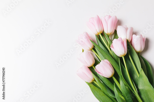 Light pink blooming tulips flowers row over white background. Spring holiday banner, happy easter card, mothers day, birthday celebration card, international womans day. Flat lay, top view, copy space