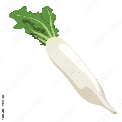 White daikon radish, farm products, proper nutrition